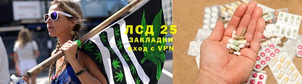 прущие грибы Переславль-Залесский