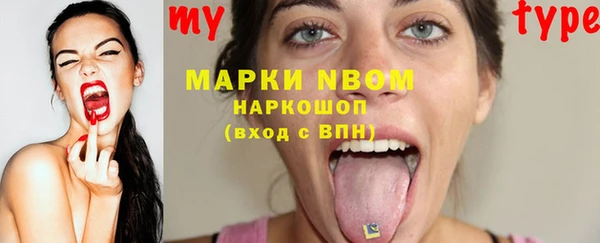 ECSTASY Пересвет