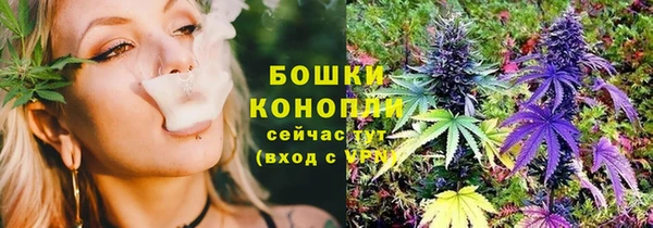 прущие грибы Переславль-Залесский