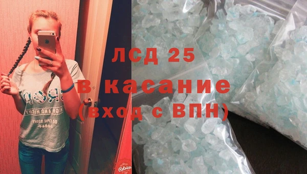 MESCALINE Гвардейск