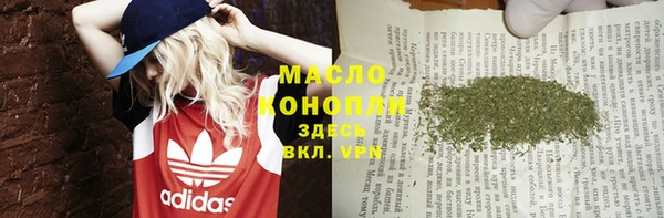 амф Гатчина