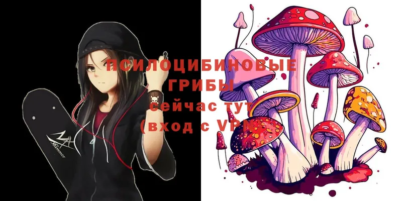 купить наркотик  Знаменск  Галлюциногенные грибы Magic Shrooms 