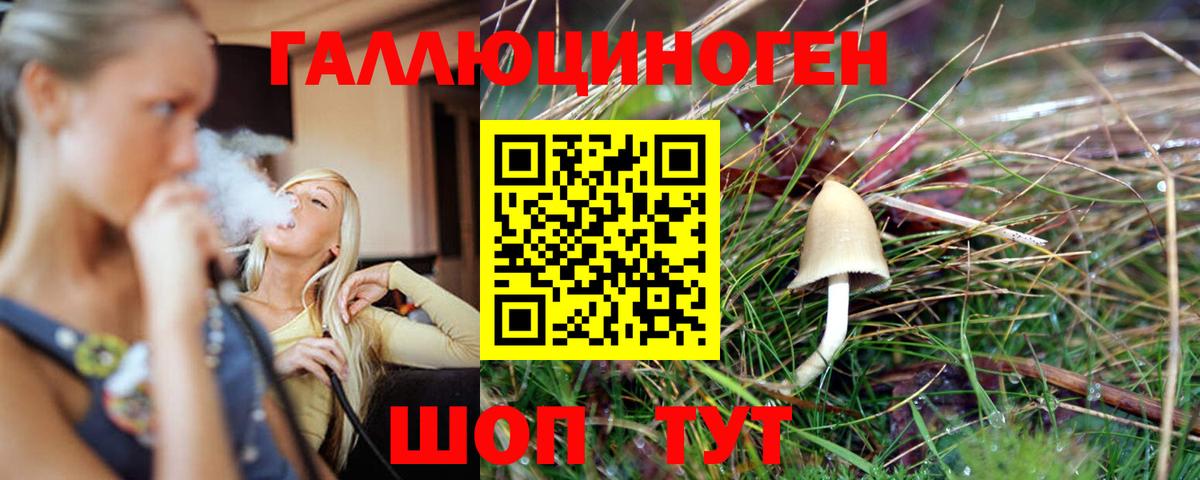 наркошоп  Вход с VPN  Знаменск  Псилоцибиновые грибы Magic Shrooms  Псилоцибиновые грибы GOLDEN TEACHER 