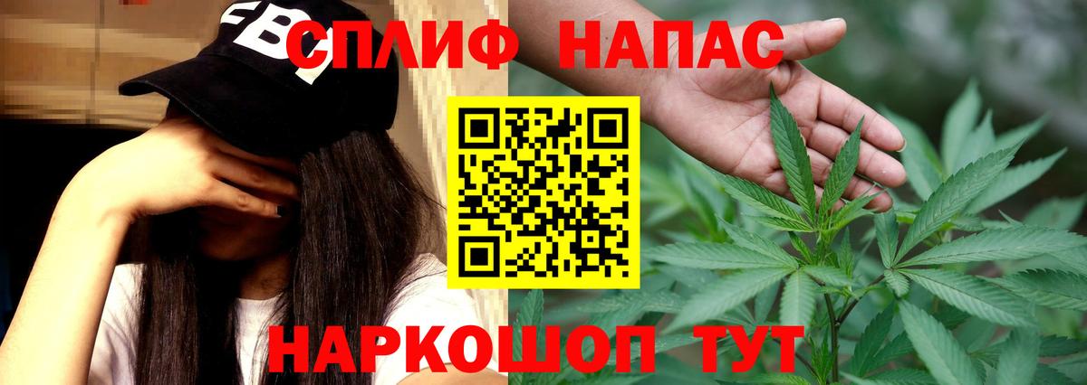 Бошки Шишки конопля Знаменск